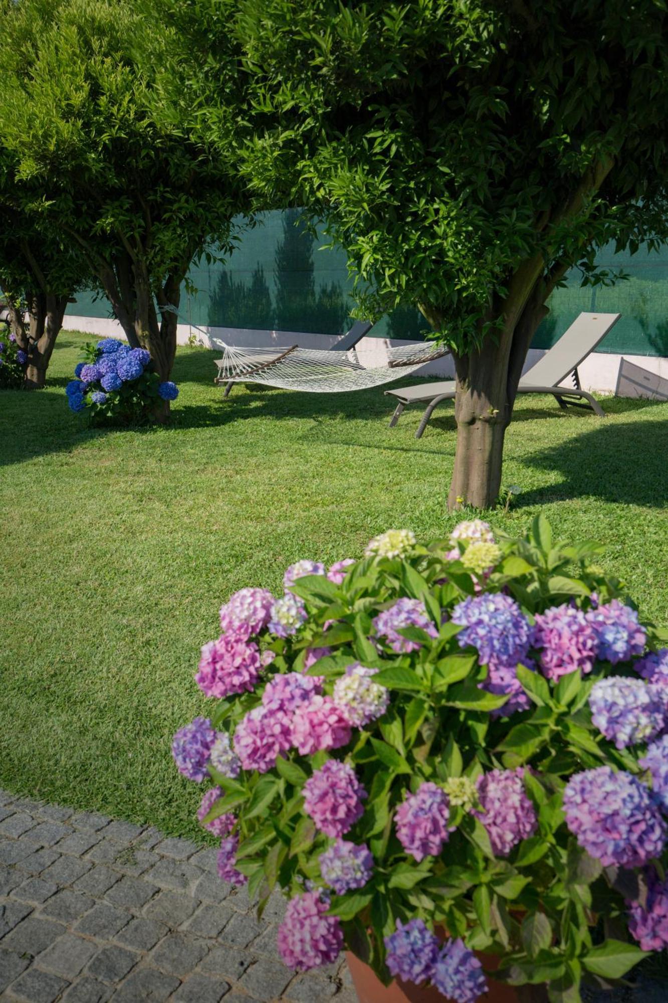 Suite Em Viana Do Castelo Zewnętrze zdjęcie